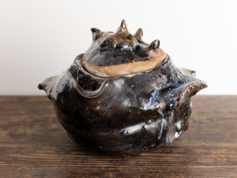 Bizen-yaki hohin teapot by Fujiwara Akira 140 ml Bizen-yaki hohin teapot by Fujiwara Akira 140 ml