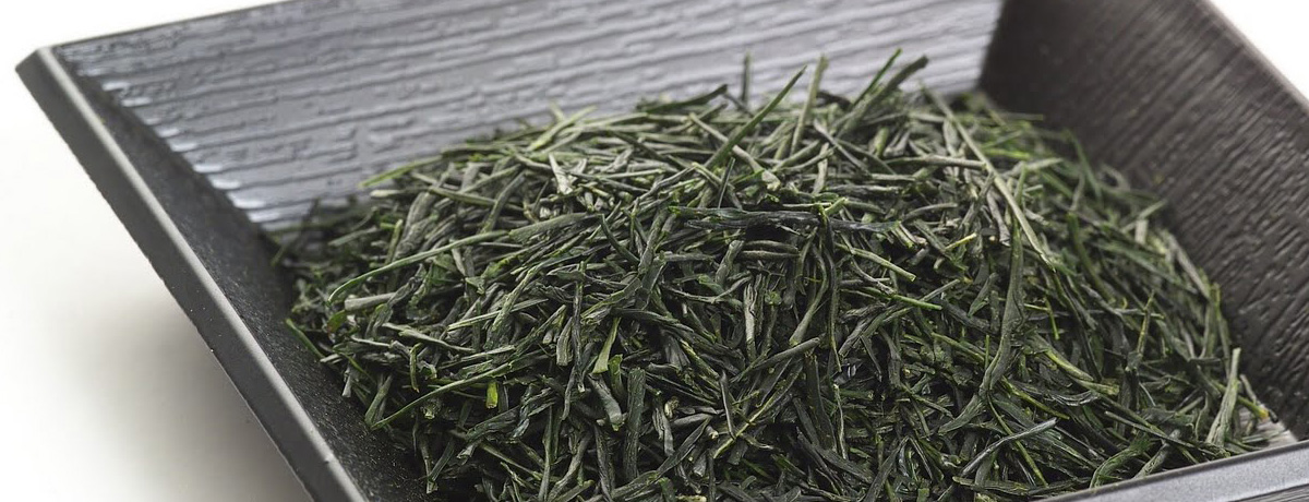 Sencha