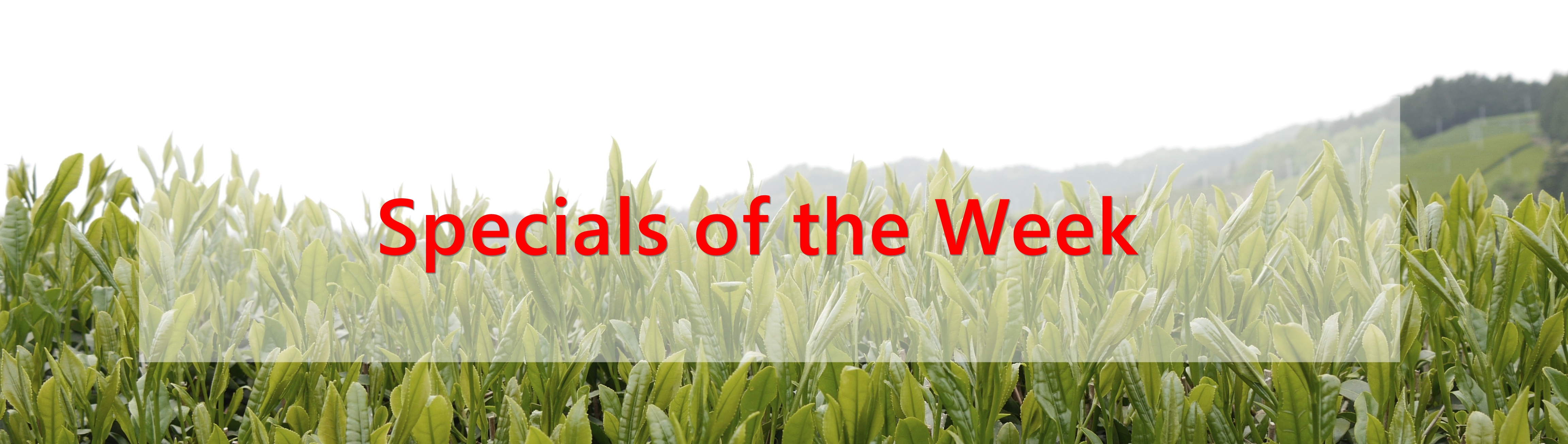 specials of the week